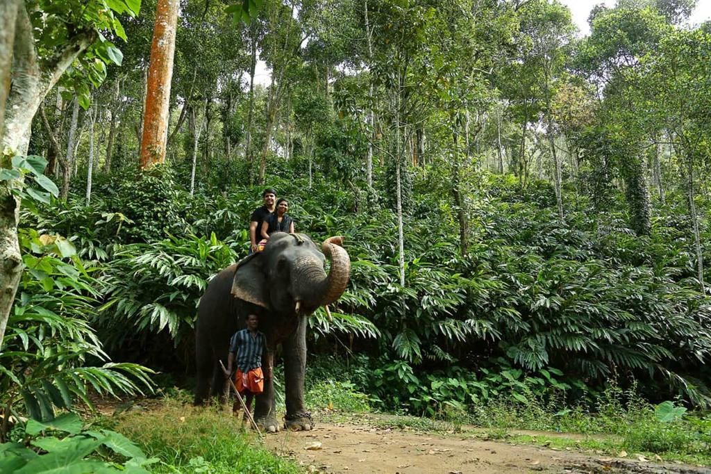 Elephant Court Thekkady Kültér fotó